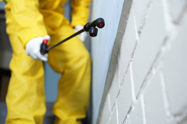 Best Residential Pest Control  in Frisco, TX